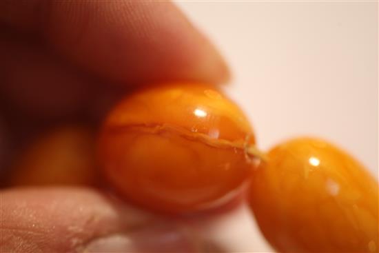 A single strand graduated amber bead necklace, 18in.